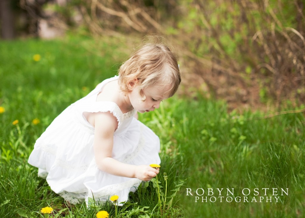 child picking flowers in field outdoor spring portraits baltimore